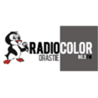 Radio Color Orastie